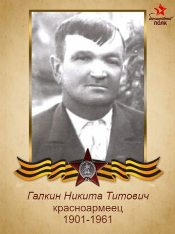 Галкин Никита Титович