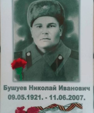 Бушуев Николай Иванович