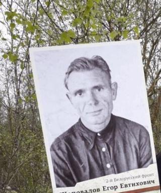 Шаповалов Егор Евтихович