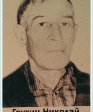 Гаухин Николай Ефимович