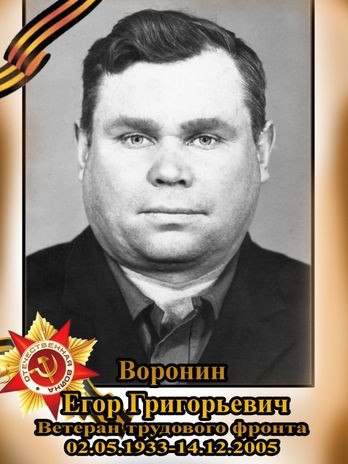 Воронин Егор Григорьевич