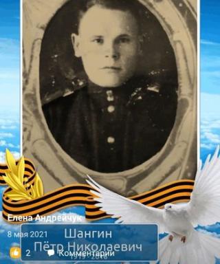 Шангин Пётр Николаевич