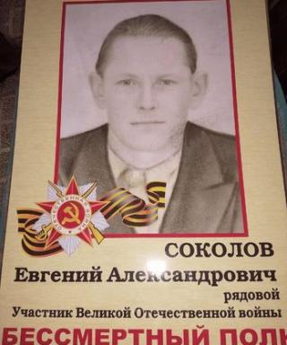 Соколов Евгений Александрович