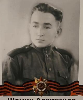 Шамин Александр Геннадьевич
