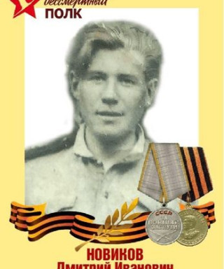 Новиков Дмитрий Иванович