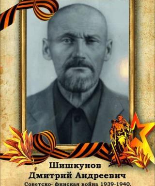 Шишкунов Дмитрий Андреевич