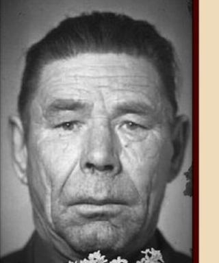 Шамаев Николай Александрович