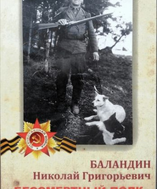 Баландин Николай Григорьевич