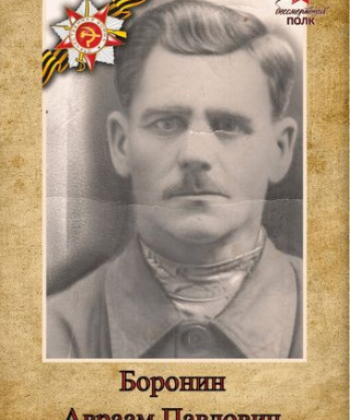 Боронин Авраам Павлович