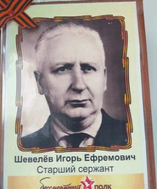 Шевелёв Игорь Ефремович