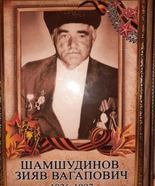 Шамшудинов Зияв Вагапович