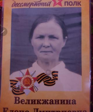 Великжанина Елена Дмитриевна
