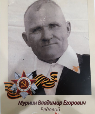 Мурнин Владимир Егорович