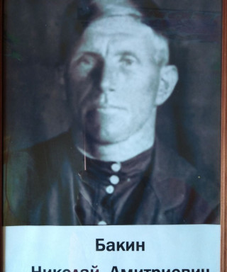 Бакин Николай Дмитриевич