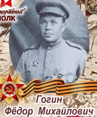 Гогин Фёдор Михайлович