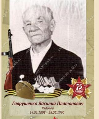 Гаврушенко Василий Платонович
