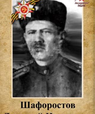 Шафоростов Дмитрий Назарович