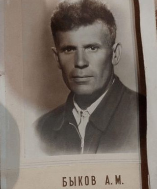 Быков Андрей Моисеевич
