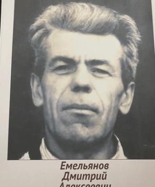 Емельянов Дмитрий Алексеевич