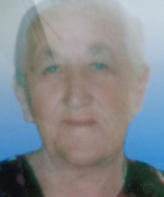 Механошина Елена Ивановна