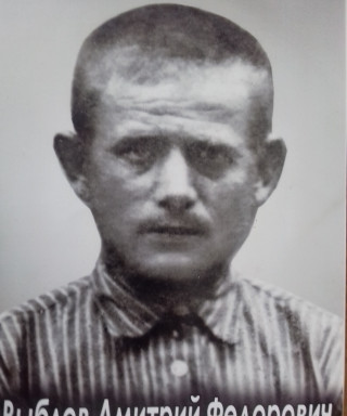 Выблов Дмитрий Федорович