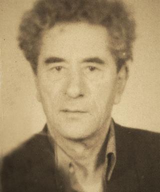 Цибульский Леонид Михайлович