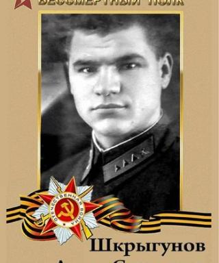 Шкрыгунов Антон Сергеевич