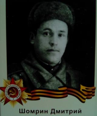 Шомрин Дмитрий Иванович