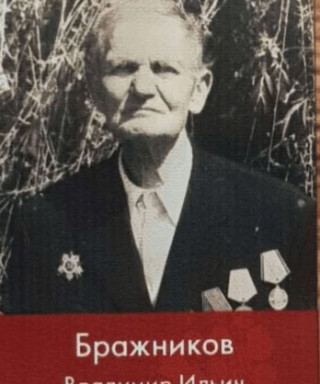 Бражников Владимир Ильич