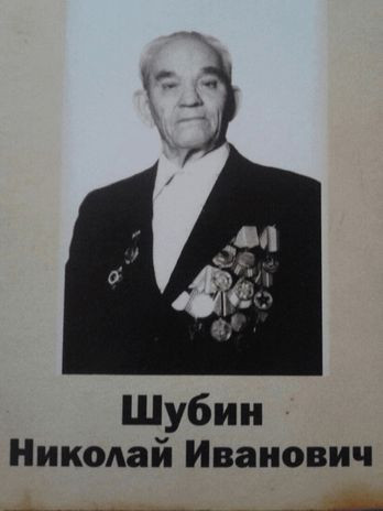 Шубин Николай Иванович