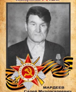 Мардеев Салих Муллгалеевич