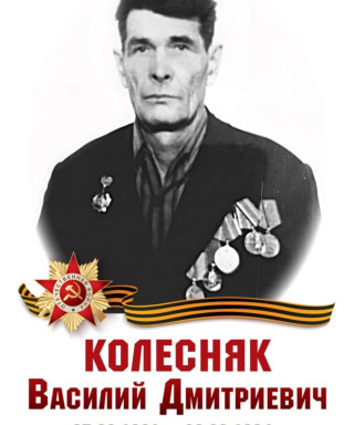 Колесняк Василий Дмитриевич