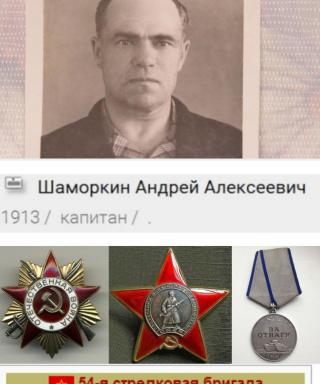 Шаморкин Андрей Алексеевич