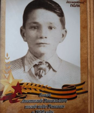 БОКОВ АНАТОЛИЙ ВАСИЛЬЕВИЧ