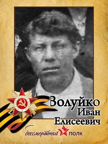 Волуйко Иван Елисеевич