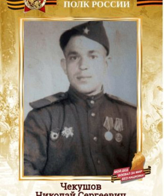 Чекушов Николай Сергеевич