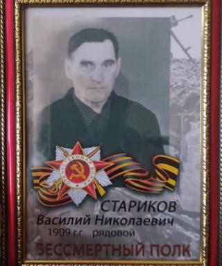 Стариков Василий Николаевич