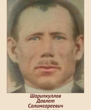 Шарипкулов Давлет Салимгареевич