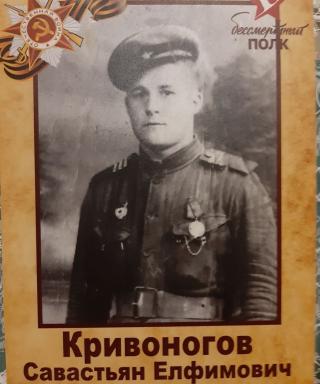 Кривоногов Савастьян Елфимович