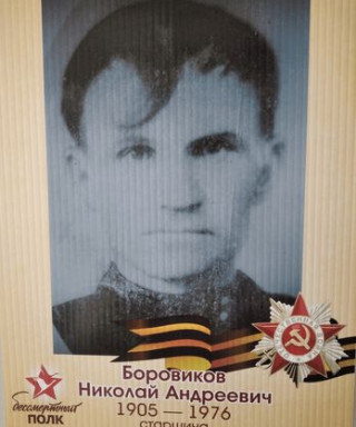 Боровиков Николай Андреевич