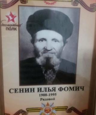 Сенин Илья Фомич