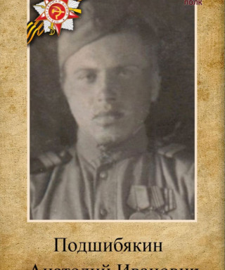 Подшибякин Анатолий Иванович