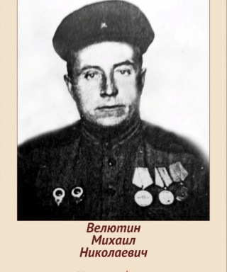 Велютин Михаил Николаевич