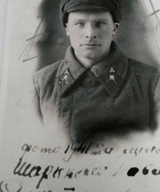 Шариков Павел Дмитриевич