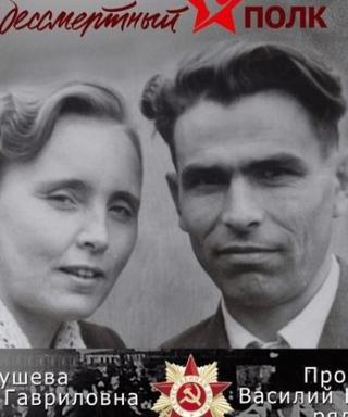 Прокушев Василий Николаевич