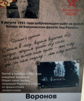 Воронов Сергей Петрович