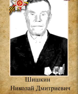 Шишкин Николай Дмитриевич
