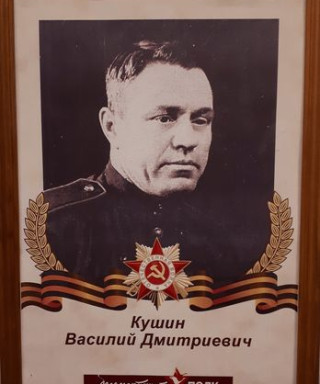Кушин Василий Дмитриевич