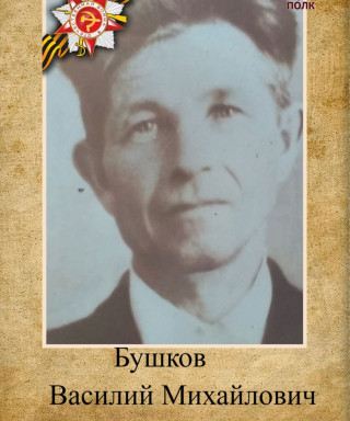 Бушков Василий Михайлович