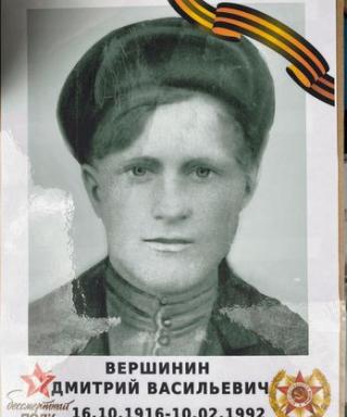 Вершинин Дмитрий Васильевич